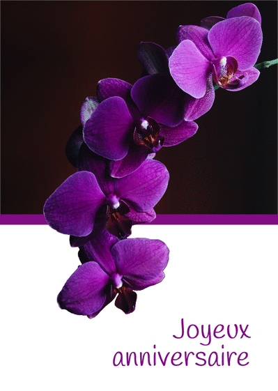 Carte joyeux anniversaire mauve et vert